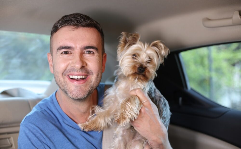Azure Private Hire Launches Pet Friendly Taxi Service